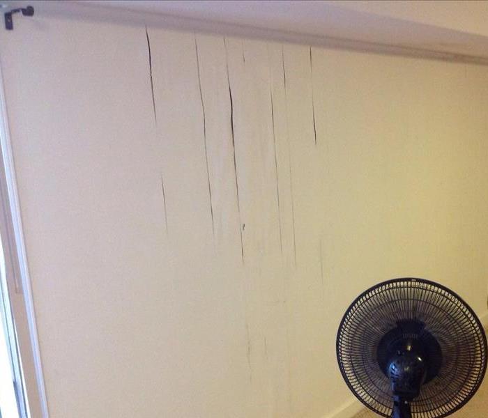 Water damage causing paint to peel in the family room.