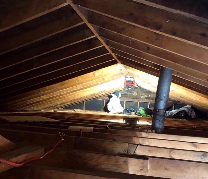 Attic after cleanup & treatment by SERVPRO